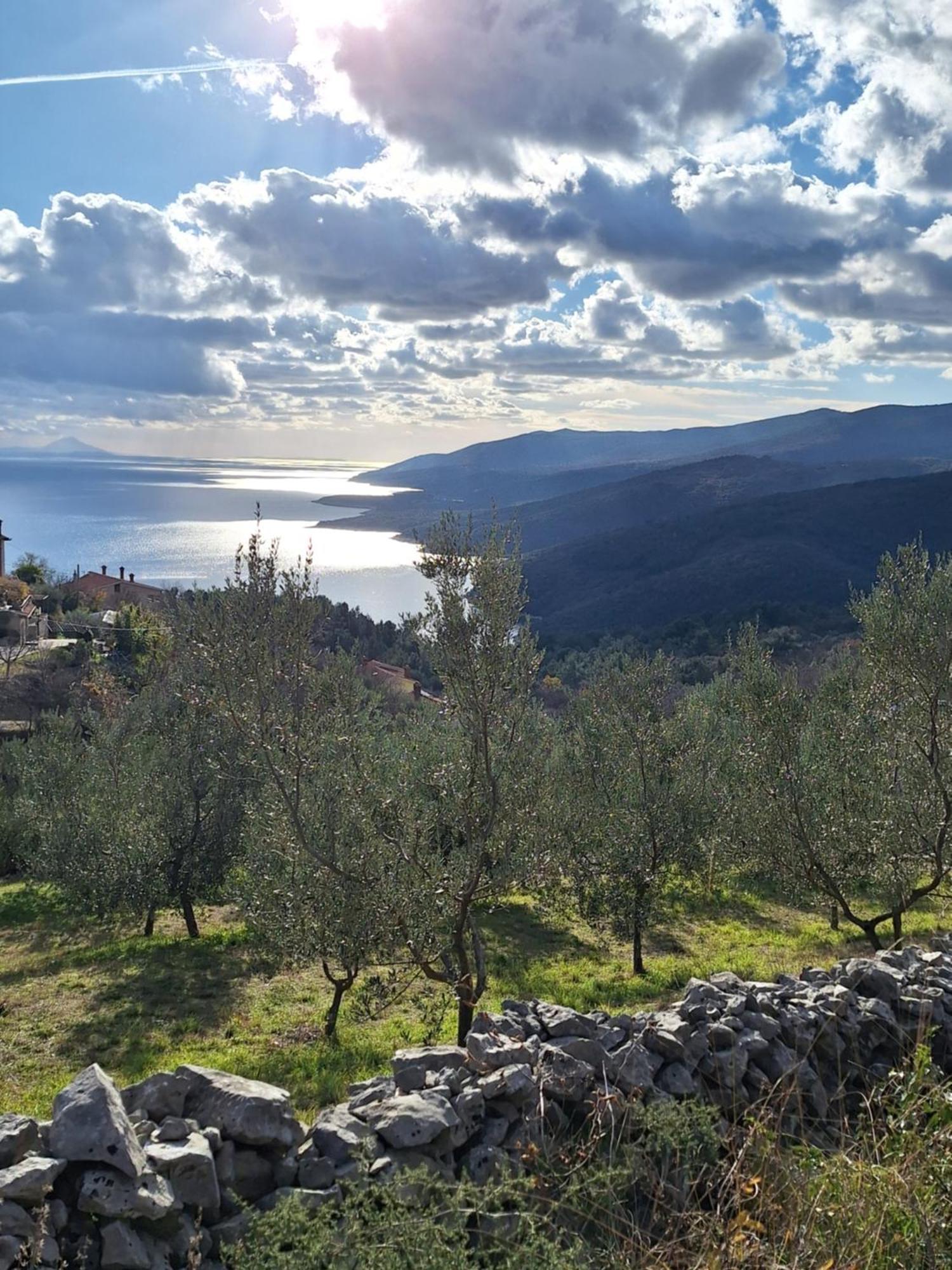 Peaceful Apartment With Beautiful Sea View Rabac Extérieur photo